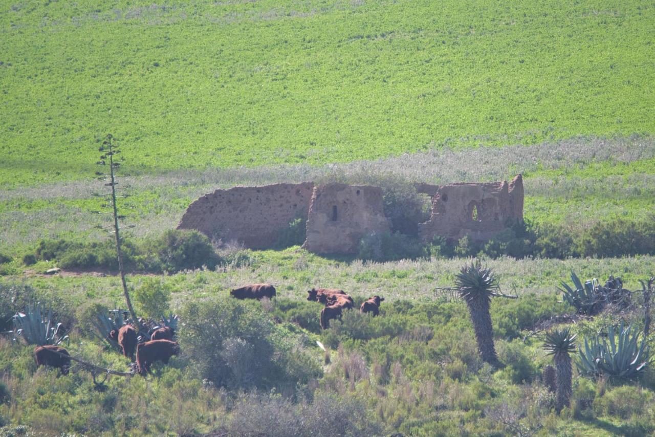 Old Sam'S Cottage بريداسدورب المظهر الخارجي الصورة